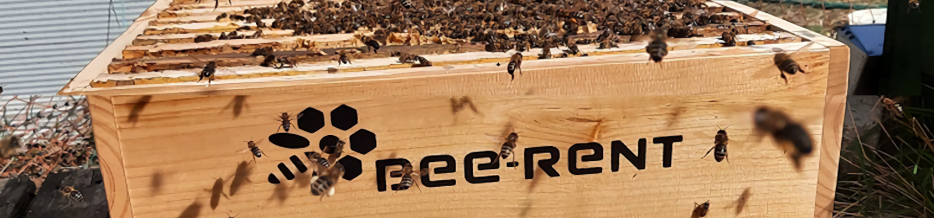 bee-rent-stage-1920x450.png